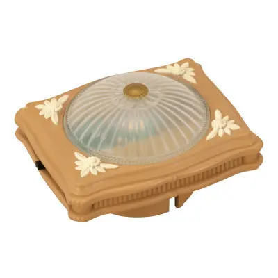 Ceiling Light